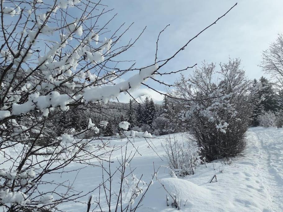 Ferienwohnung Duplex 59M2 - Proche Centre - Balcon Plein Sud Corrençon-en-Vercors Exterior foto