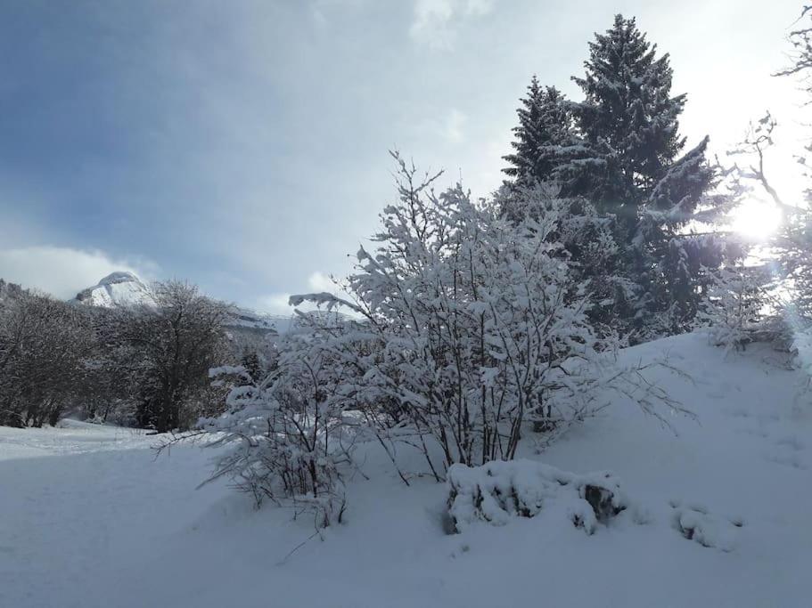 Ferienwohnung Duplex 59M2 - Proche Centre - Balcon Plein Sud Corrençon-en-Vercors Exterior foto